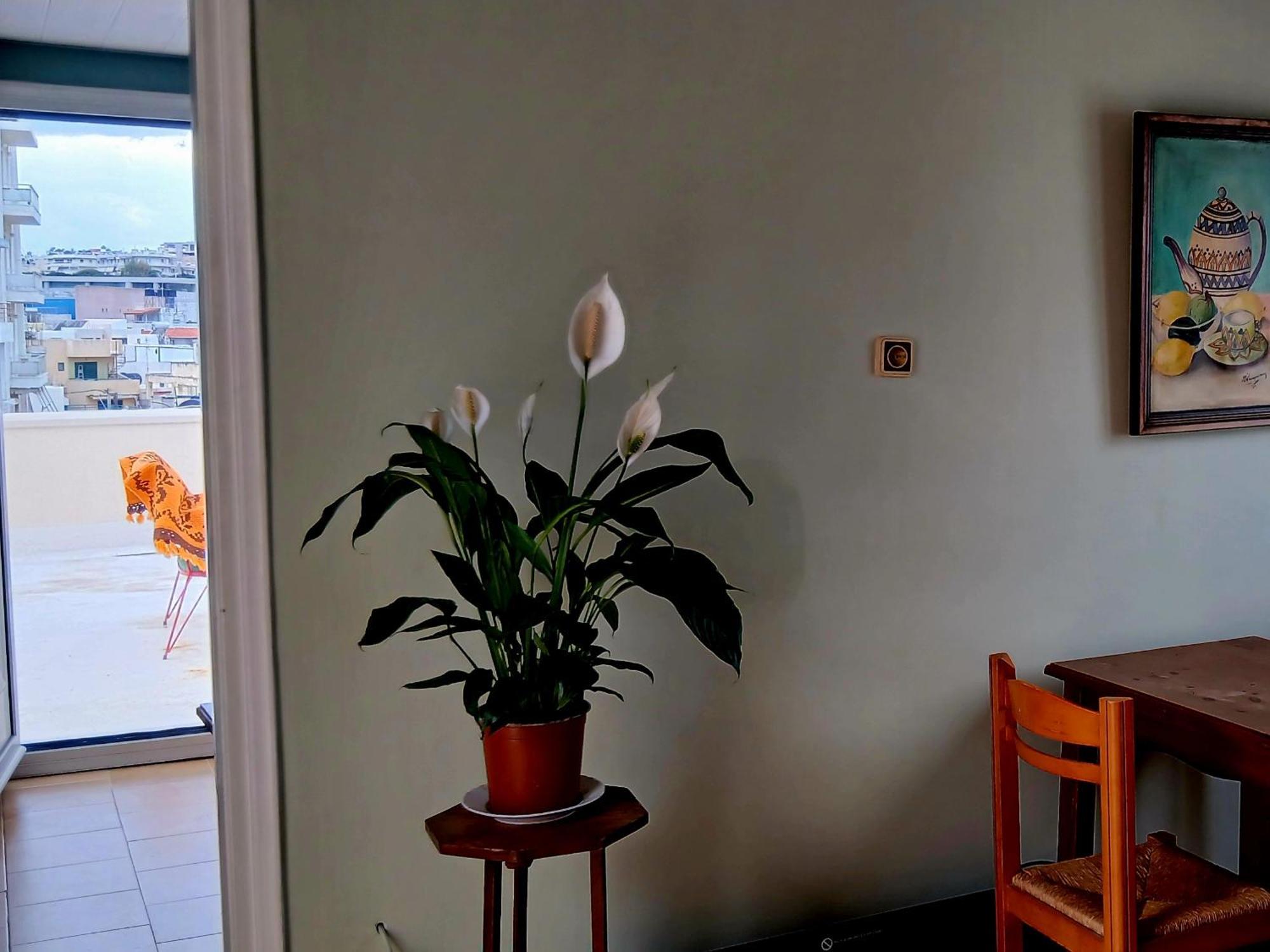 Doukas Rooms Herakleio Crete Heraklion  Bagian luar foto